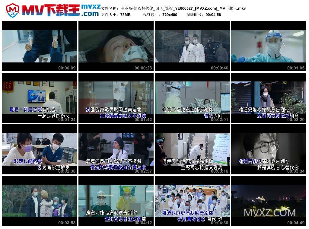 毛不易-甘心替代你_国语_流行_YE800527